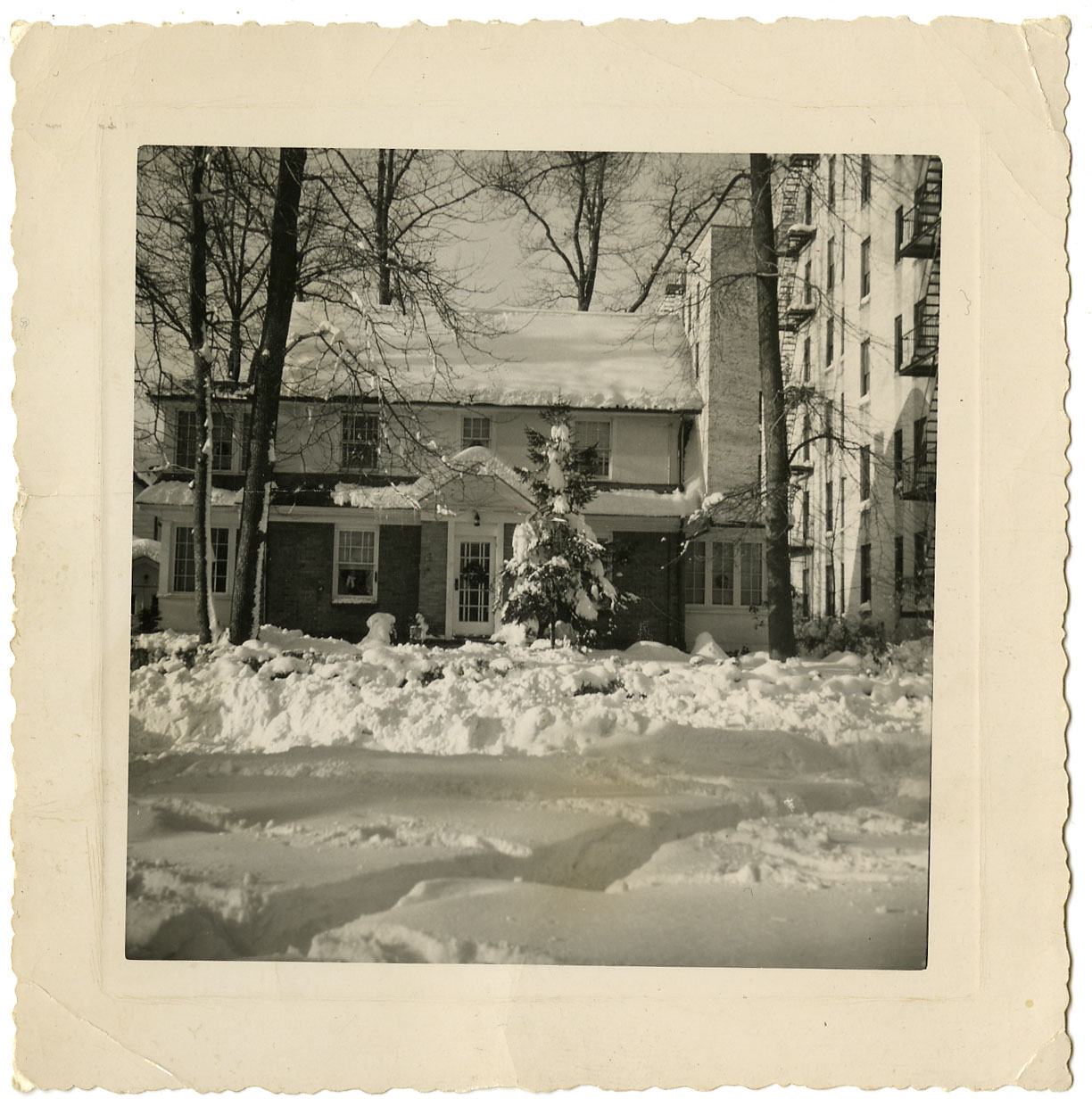 media 11297 thumbnail image