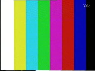 media thumbnail