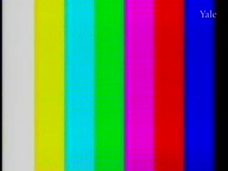 media 54492 thumbnail image