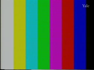 media 54506 thumbnail image