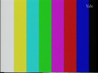 media 54557 thumbnail image