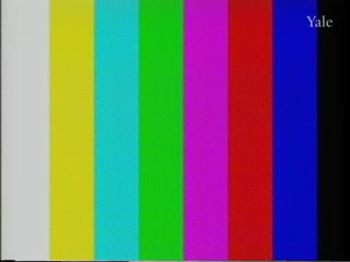 media 54561 thumbnail image