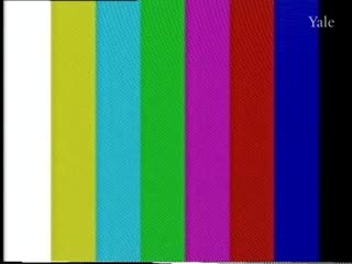 media thumbnail