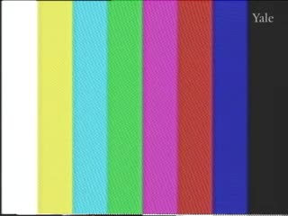 media 55279 thumbnail image