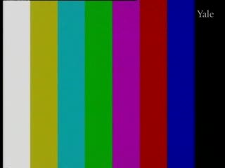media thumbnail