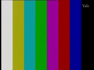 media 56223 thumbnail image