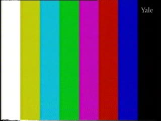 media thumbnail