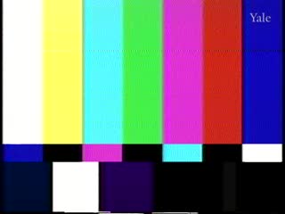media thumbnail