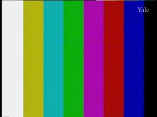 media thumbnail