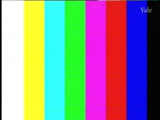 media 56913 thumbnail image