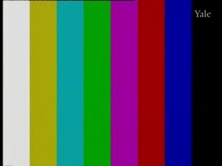media thumbnail