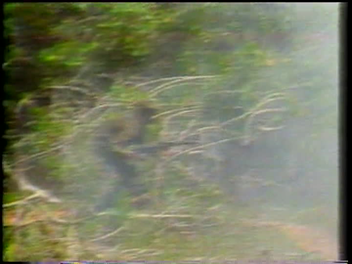 media 57524 thumbnail image