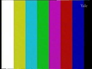 media thumbnail