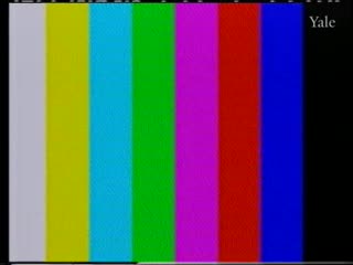 media thumbnail