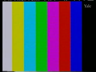 media 58495 thumbnail image