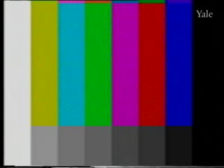 media thumbnail