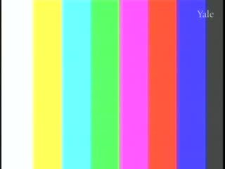 media thumbnail