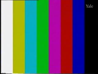 media thumbnail