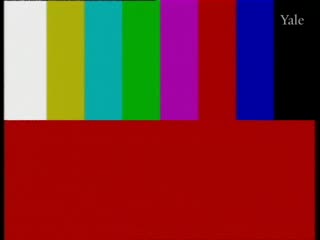 media thumbnail
