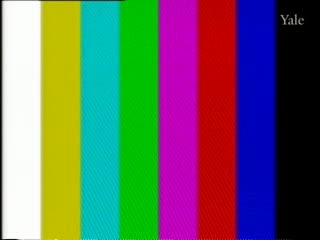 media thumbnail