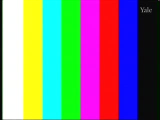 media thumbnail