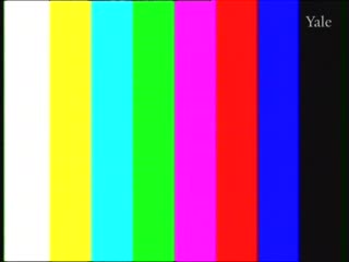 media thumbnail