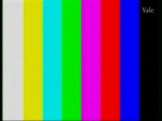 media thumbnail