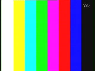 media thumbnail