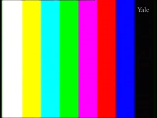 media thumbnail