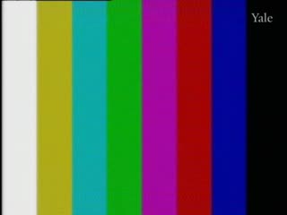 media 60604 thumbnail image