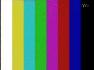 media thumbnail