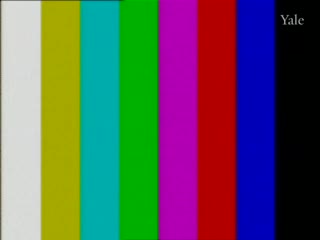 media thumbnail