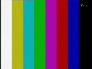 media 64389 thumbnail image