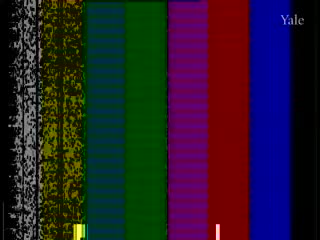 media thumbnail