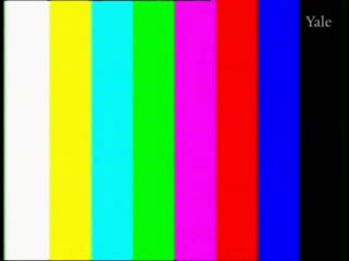media 64608 thumbnail image