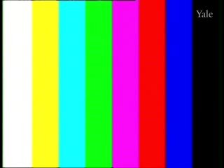 media 64617 thumbnail image