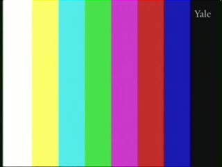 media thumbnail