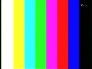 media thumbnail