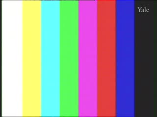 media thumbnail
