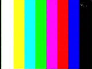 media 64636 thumbnail image