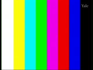 media thumbnail
