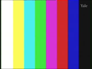 media 64653 thumbnail image
