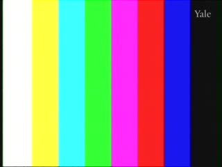 media thumbnail
