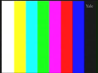 media thumbnail