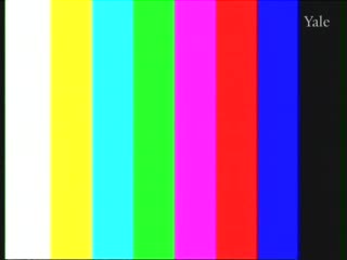 media thumbnail