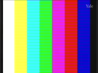 media thumbnail