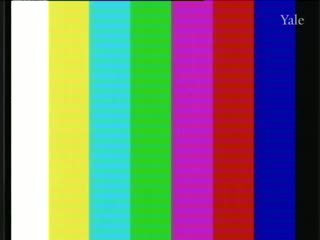 media thumbnail