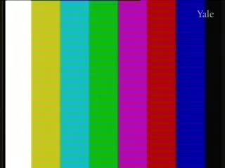 media thumbnail