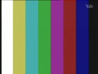 media thumbnail