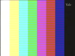 media 66008 thumbnail image
